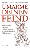 Umarme deinen Feind: Buddhistische Techniken zur Befreiung von inneren und äußeren Widersachern by Sharon Salzberg, Robert Thurman