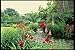 Produktbild 131017 Mixed Cottage Garden Peony Pyrethrum Allium Pinks A4 Photo Poster Print 10x8