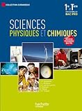 Sciences physiques et chimiques 1re et Term. Bac Pro - Livre élève - Ed.2010