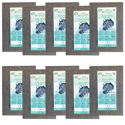 10 lots = 20 plaques bois de glu anti rat et anti souris