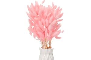 Snowtain 50 Pcs Boho Deko Trockenblumen Blumenstrauß Deko Hasenschwanz Gras Getrocknete Pampasgras Stäbchen Pampasgras Trockenblumen Trockenblumen Deko Pampas Deko Trockenblumen (40cm Rosa)
