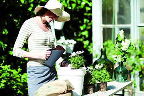 elho Green Basics Schaufel XXL - Lebhaft Schwarz