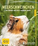 Image de Meerschweinchen: So fühlen sie sich rundum wohl