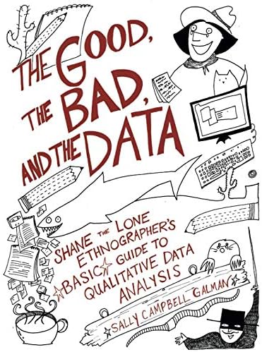 The Good, the Bad, and the Data: Shane the Lone Ethnographer’s Basic Guide to Qualitative Data Analysis