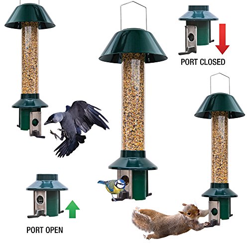 Eichhörnchensichere Vogelfutterstation-Mix PestOff Seed feeder-Neuware - 3