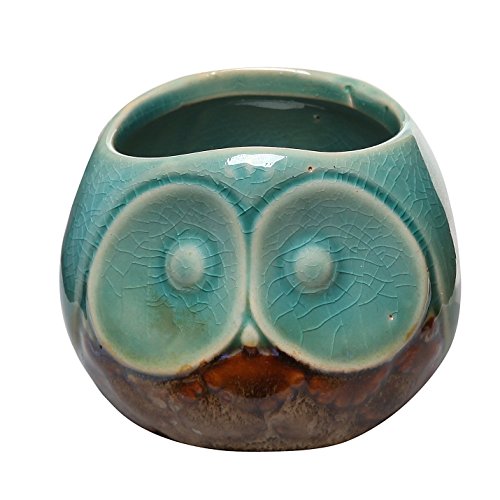 MyGift 7,6 cm türkis & braun kleine Eule Design Keramik Sukkulente Übertopf/Flower Bud Topf/Mini Deko Vase - 2