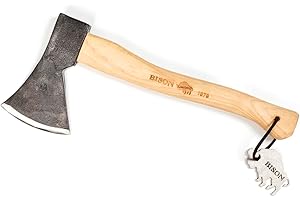 Bison Hachette Universelle 1879 800 g HY