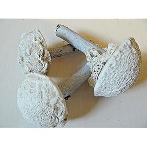 Unikat handmade Herrliche Dekopilze shabby 'Set No.2'