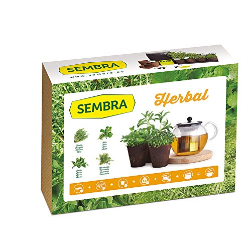 Sembra Big Kit Cultivo, 25.5x33.5x9 cm