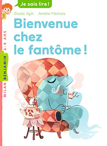 Bienvenue chez le fantôme ! (Poche benjamin)