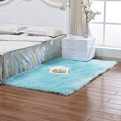 QIAO Sofa Rug Long Hair Cushion Floating Window Mat Living Room Bedroom Decoration Rugs (Color : G, Size : 60x180cm)