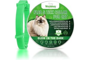 Woyamay Collare Antiparassitario per Gatti, Luminoso Collare Antipulci Gatto Impermeabile Elimina Pulci e Zecche Collare Gatto, Efficace Collare Antipulci per Gatti con Protezione di 8 Mesi, Verde