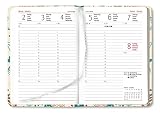 Image de Alpha Edition Ladytimer 170825 Agenda per Anno 2017