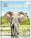 WAS IST WAS Band 86 Elefanten. Die grauen Riesen (WAS IST WAS Sachbuch, Band 86) by 