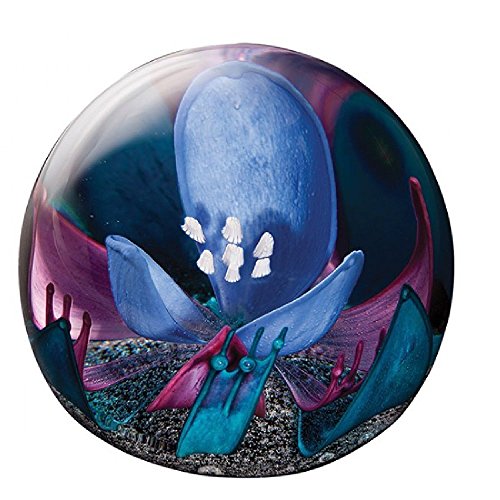 Caithness Glass - Floral Ruby Blue Limited Edition of 100 Paperweight