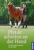 Image de Pferde arbeiten an der Hand