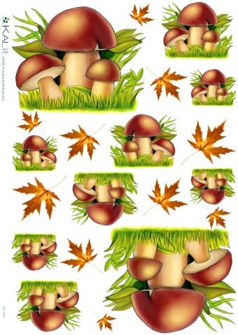 Accademia del Decoupage 32 x 45 cm Rice Paper, Mushrooms