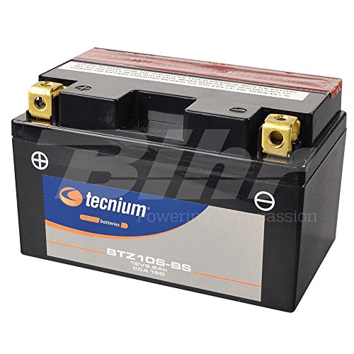 V Platinum - Batería PTZ10S-BS MF, no Requiere Mantenimiento