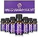 Produktbild Aromatherapie Ätherische Öle Geschenk set - 7 Proben (10ml), Fenmeize Rainbow Serie 100% echte, natürliche, therapeutische Qualität, Rosmarin Weihrauch Zitrone Pfefferminz Teebaum Eukalyptus und Lavendel, Ätherische Öle