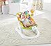 Fisher-Price Rainforest Friends Fun n Fold Bouncer