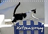 Katzensprung (Tischkalender 2016 DIN A5 quer): Foto-Katzen-Kalender zum Träumen (Geburtstagskalender, 14 Seiten ) (CALVENDO Tiere) by 