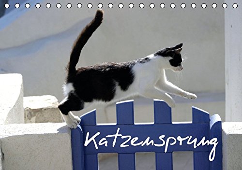 Katzensprung (Tischkalender 2016 DIN A5 quer): Foto-Katzen-Kalender zum Träumen (Geburtstagskalender, 14 Seiten ) (CALVENDO Tiere)