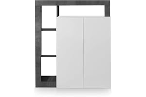 Web Convenienza Madia con 2 Ante Made in Italy – Credenza Contenitore Collezione Hamburg per Soggiorno Cucina Ingresso Sala da Pranzo Mobile Design moderno originale Bianco Lucido e Ossido
