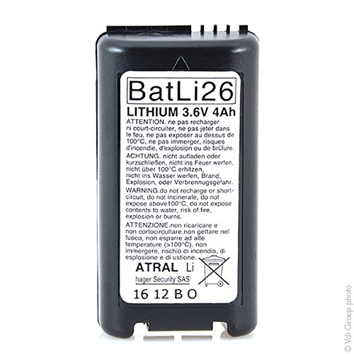 spécifications Daitem - Pile alarme DAITEM BATLI26 3.6V 4Ah - Pile(s)