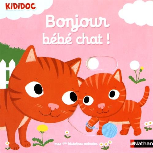 Bonjour bébé chat !
