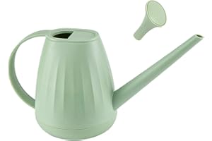 F FITYLE Arrosoir de 2 L, Arrosoir Jardin, Arrosoir Plante Interieur,Outils de Jardinage pour Arosoires D'intérieur, Arrosoir Léger avec Bec Long, pour Fleurs de Jardin, Les Plantes Succulentes, Vert