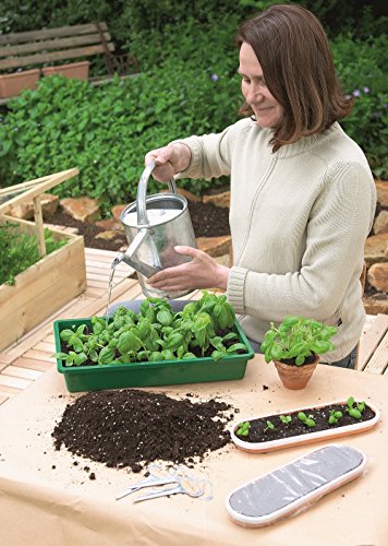 Floragard Bio Kräuter- und Aussaaterde ohne Torf 40 L, Kräutererde, torffrei - 2