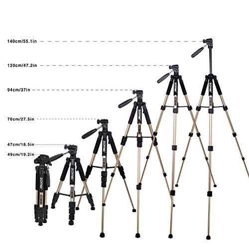 ZOMEI Q111 Tr  pied Appareil Photo Portatif L  ger Professionnel en Aluminium avec un sac de transport et D  gagement Rapide 1 4  pour Canon   Nikon   Sony et autres Reflex Num  riques Or 