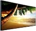 Produktbild InfrarotPro | Infrarotheizung 750 Watt | Bildheizung 120x60x3 cm | Made in Germany | Geprüfte Technik | Ultra-HD Auflösung | (Palme bei Sonnenuntergang)