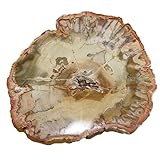 Sternzeichenzuordnung: Jungfrau