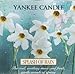 Produktbild Yankee Candle: Splash of Rain (UK Import) by various