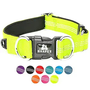 BAAPET Comfortable Dog Collar with Double Security Dual D-Ring and ID Tag Hanger for Small Puppy, Medium and Large Dogs (M - 1.0