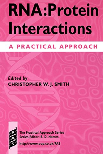 RNA-Protein Interactions: A Practical Approach: 192 (Practical Approach Series)