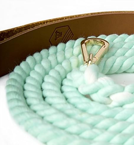 Luxury Rope Dog Lead with Padded Leather Handle | Strong, stylish &amp; long length for training | Quality hand-woven soft cotton shock absorber stops pulling | Leash for puppy, small or medium pet | Fashion gold snap clips / hook | Range of colours available | Mint Green