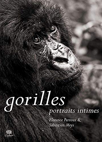Gorilles - Portraits intimes