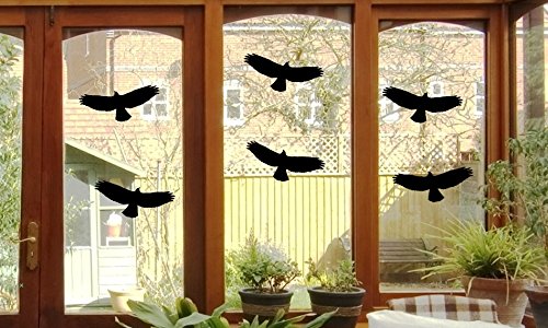 6 Vogel Aufkleber – Vögel Fenster Glas Greifvogel Fensterbild je 24x10cm B397 (schwarz) - 2