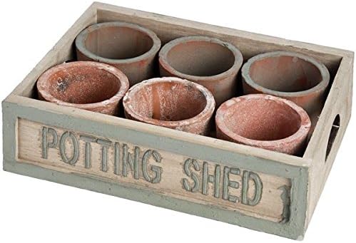 Hill Interior Rustic Potting Shed Small Seeding Tray With Pots