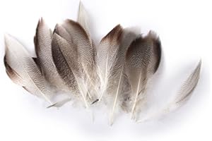 Lot de 20pcs 9-13cm Plumes de Canard pour Artisanat Fabrication de Masque Chapeau