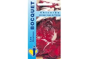 Sachet de graines de Chicorée à large feuille Rosa di Treviso 2 (rouge de Trèvise) - 4 g - légume feuille - LES GRAINES BOCQUET