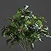 Produktbild ILEX BUSCH GRÜN 31CM 23788-01