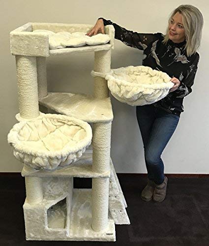 Arbre--chat-gant-grand-chat-XXL-Corner-Coon-Beige-48KG-pour-gros-chats-Produit-de-qualit-RHRQuality