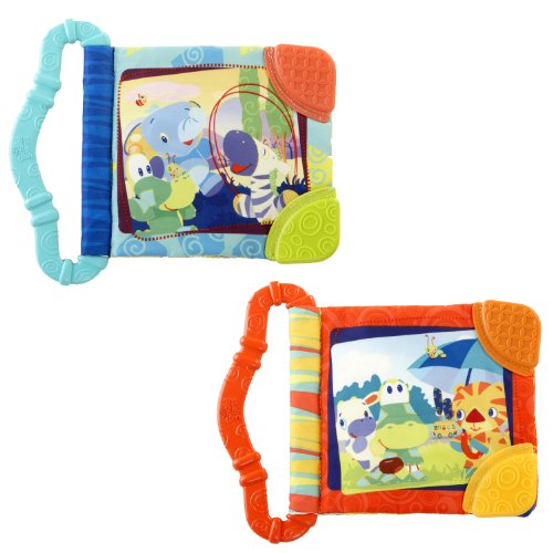 Bright Starts Teethe and Read