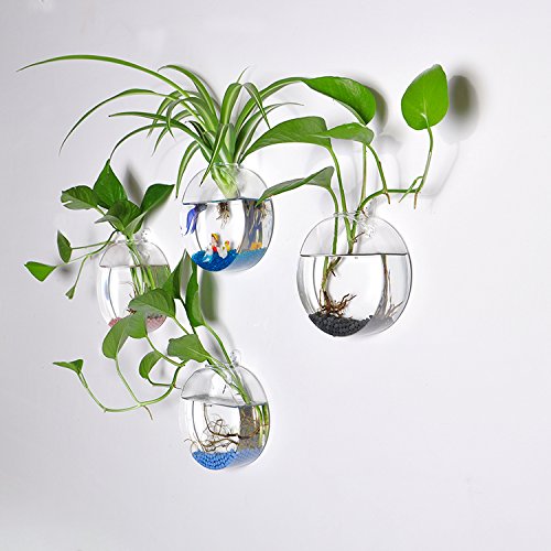 4 Stück aus Glas zum Aufhängen Wand Vase Flower Pflanztopf Behälter Wasser Pflanzkübel Runde Form dia 12 cm - 2