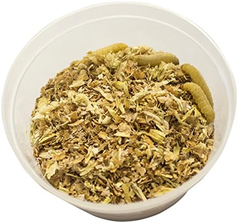 Waxworms Tub 15g