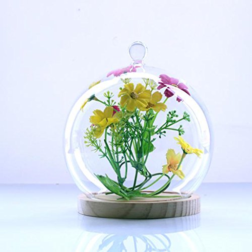 MagiDeal Deko Glasglocke mit Holzboden , Transparent Glas Behälter Micro Landschaft Garten DIY Terrarium Container Dekoration – mit kleinen Kugel, 15x18cm - 8