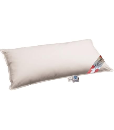 Betten Hofmann Daunenkissen 40x40 Cm – 150 G Daunen, Waschbar, Kuschelweich Für Erholsamen Schlaf